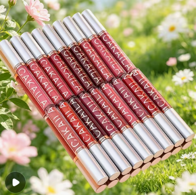 Lip Kit - Includes NIB 10 pack of lipstick and 6 pack of Lip Balm