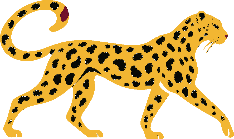 Velvet Leopard Vintage NYC leopard mark